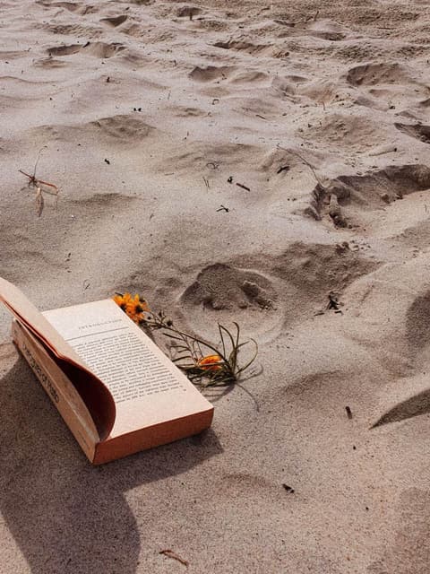 Shoreline Pages
